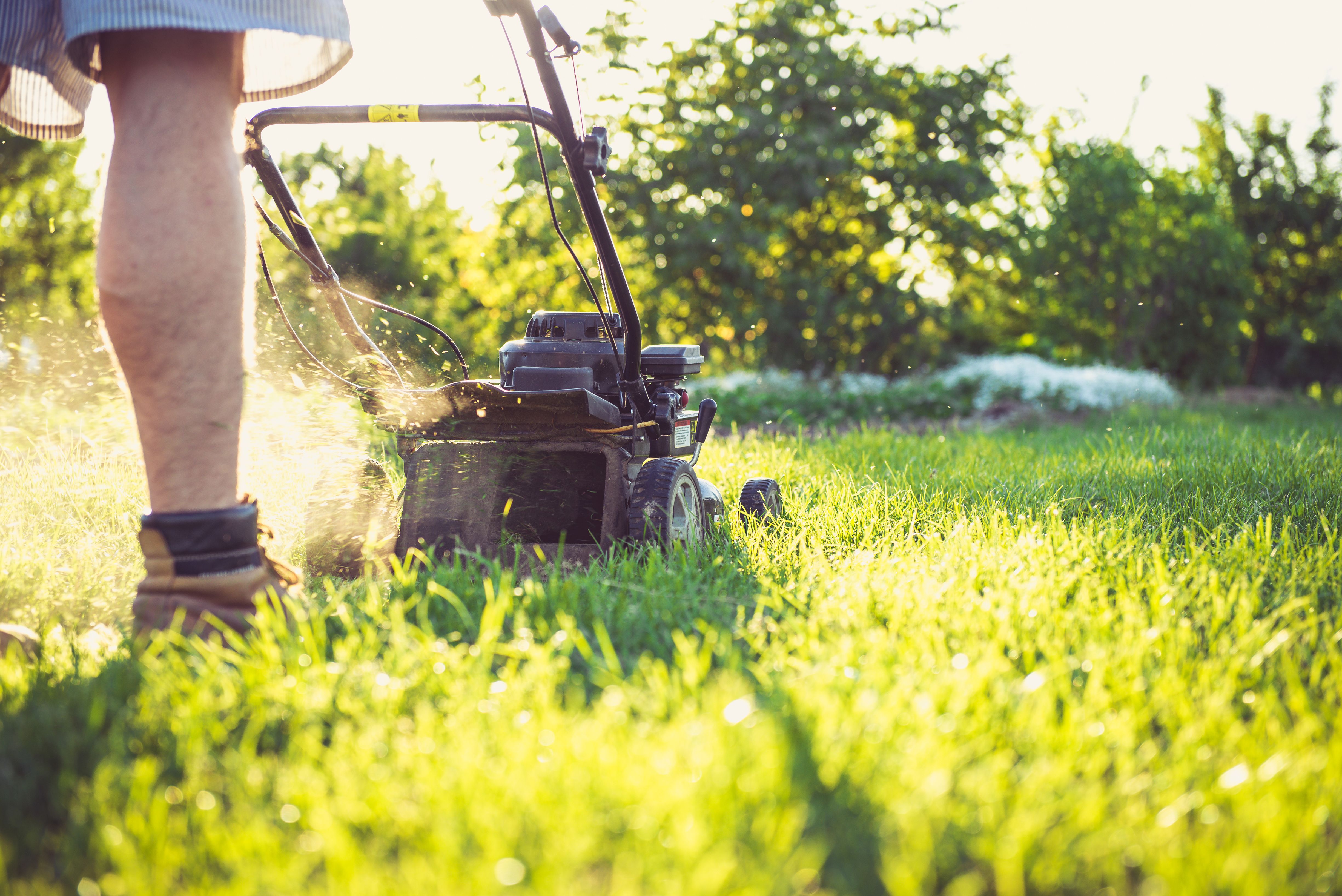 Lawn Care Services